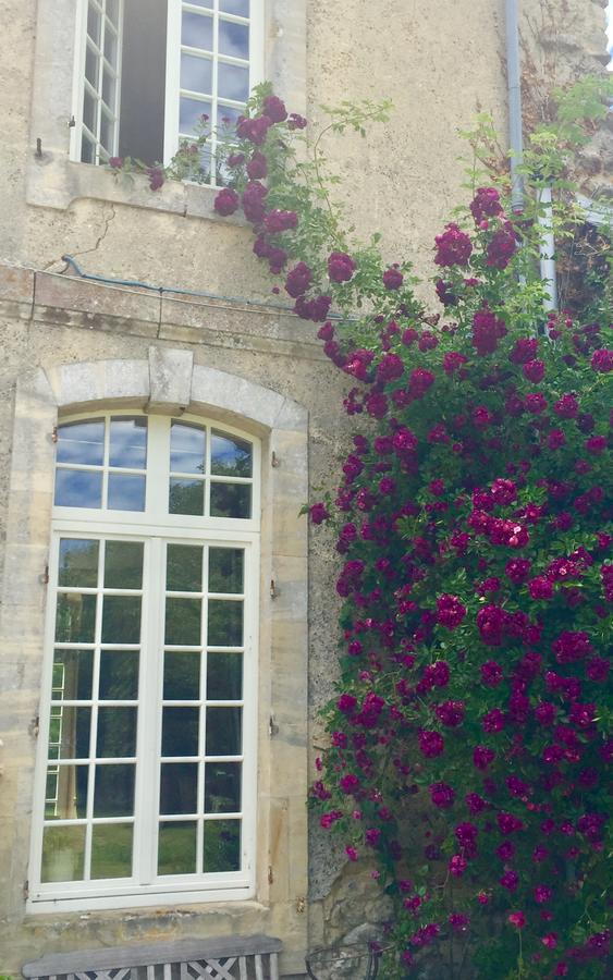 L'Orangerie Du Grand Jardin Villa Condé-sur-Seulles Екстериор снимка